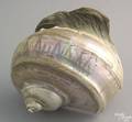 Unusual carved shell 19th c