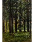 ANDREI NIKOLAEVICH SHILDER RUSSIAN 18611919 Fir Forest