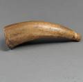 Engraved Powder Horn