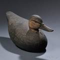 Black Duck Decoy