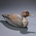 Pintail Working Decoy