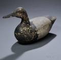 Canvasback Duck Decoy