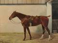 American School 19th Century Portrait of a Prized Horse