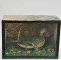 Blackpainted Diorama of a Taxidermy Duck