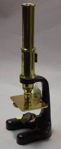 LacqueredBrass Compound Microscope by Busch