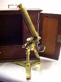 LacqueredBrass Compound Microscope by Davis