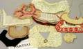 Diverse Selection of Doll Collars