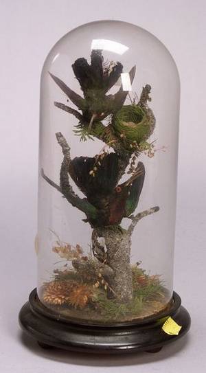 Victorian Hummingbird Tableau