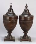 Pair of Georgianstyle Mahogany Knife Urns