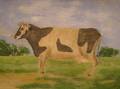Oil Portrait of a Cow