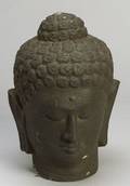 Head of the Buddha