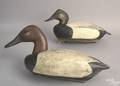 Two carved and painted canvasback decoys mid 20th c 18 12 l and 16 12 l