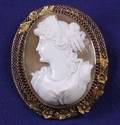 Shell Cameo PendantBrooch