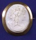 Antique 14kt Gold and Shell Cameo Brooch