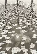 Maurits Cornelius Escher Dutch 18981972 Three Worlds