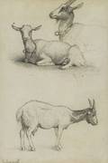 August Friedrich Albrecht Schenck Danish 18281901 Lot of Two Sketches A Goat