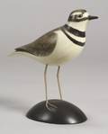 Carved and Painted Wooden Wilson Plover Shorebird Figure