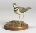 Carved and Painted Wilson Plover Shorebird Figure