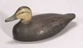 Carved and Painted Wooden Black Duck Decoy