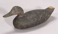 Carved and Painted Wooden Black Duck Decoy