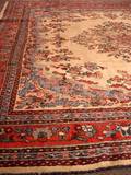 Hamadan Carpet
