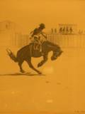 Framed Drawing of a Rodeo Rider