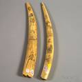 Two Scrimshawdecorated Walrus Tusks