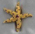 18kt Gold Ruby and Sapphire Starfish Brooch Schlumberger Tiffany  Co