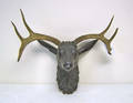 Carved stag head with real horns