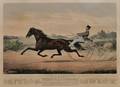Currier  Ives publishers American 18571907 The Celebrated Horse GEORGE M PATCHEN The Champion of the Turf