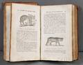 Beilby Ralph 17441817 A General History of Quadrupeds