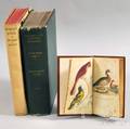 Ornithology Three Volumes