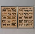 Pair of Framed French Handcolored Lithograph Posters Les Animaux De La Ferme