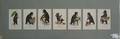 Set of 7 framed lithographs of Roosevelt Bears