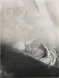 Odilon Redon French 18401916 Il tombe  labme la tte en bas