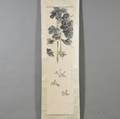 Hanging Scroll