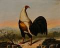 British School 19th Century Portrait of a Rooster