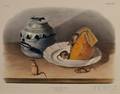 Audubon John James 17851851 Common Mouse
