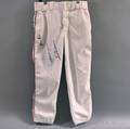 Uniform Pants Autographed by Ted Williams Carl Yastrzemski and Jim Rice