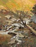 David Bareford American b 1947 Tumbling Brook Santa Fe National Forest