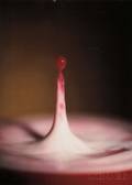 Harold Eugene Edgerton American 19031990 Cranberry Juice Dropping into Milk