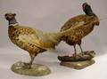 Two Taxidermied Pheasants