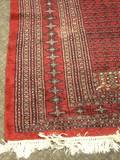 Pakistani Carpet