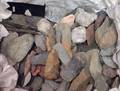 Box of Native American Stone Arrowheads