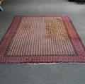 Anatolian Carpet