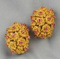 18kt Gold and Ruby Earclips Tiffany  Co