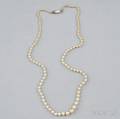 Natural Pearl Necklace