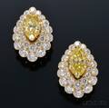Fancycolored Diamond and Diamond Earrings