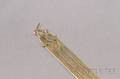 14kt Gold Gemset Bookmark Cartier