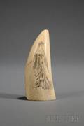 Engraved Whales Tooth